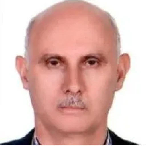 تصویر آقای دکتر اسلام حسین زاده