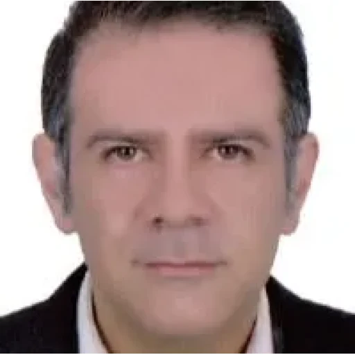 تصویر آقای دکتر مهدی ستارزاده